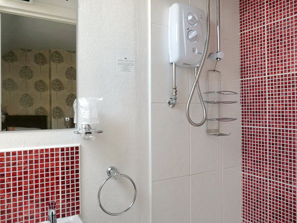 En-suite with shower, basin, WC and downflow heater.