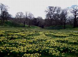 National Trust - Bodnant Gardens